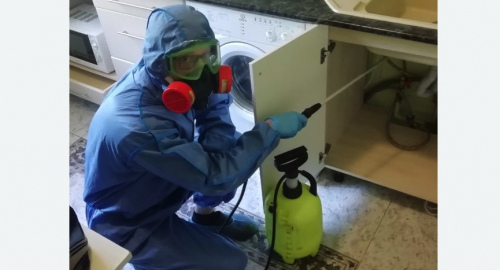 Уничтожение муравьев в квартире. Левобережный 