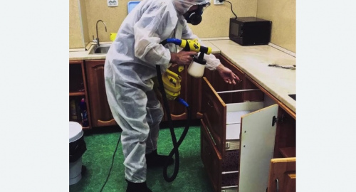 Дезинсекция квартиры. Левобережный 