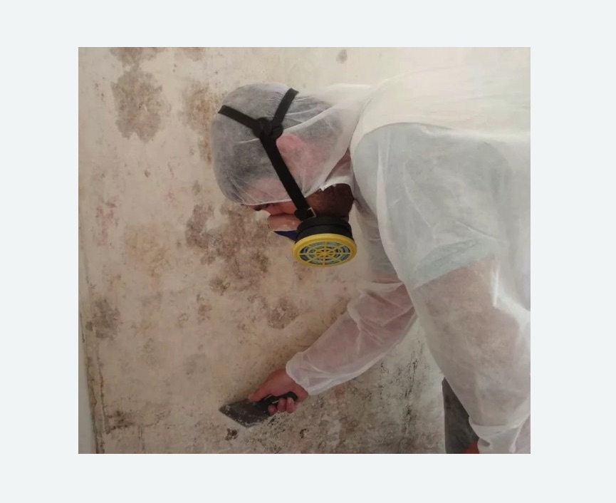 Обработка стен от плесени в Левобережном районе Москвы