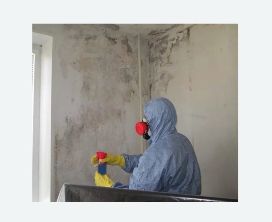 Удаление плесени в квартире в Левобережном районе Москвы