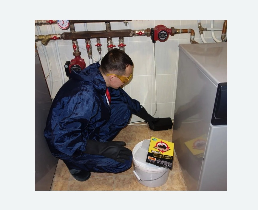 Уничтожение крыс в Левобережном районе Москвы