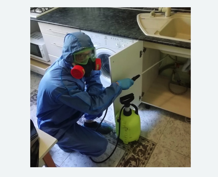 обработка от муравьев в квартире в Левобережном районе Москвы